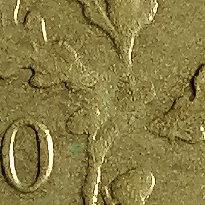 sena coins
